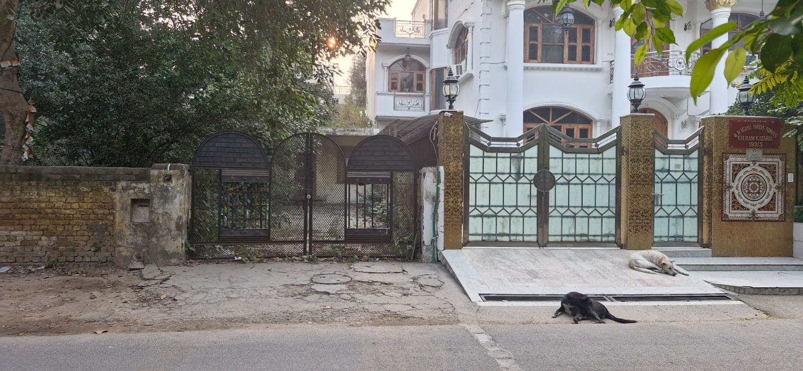 260sqyd Residential Plot  on Sale Sector 9