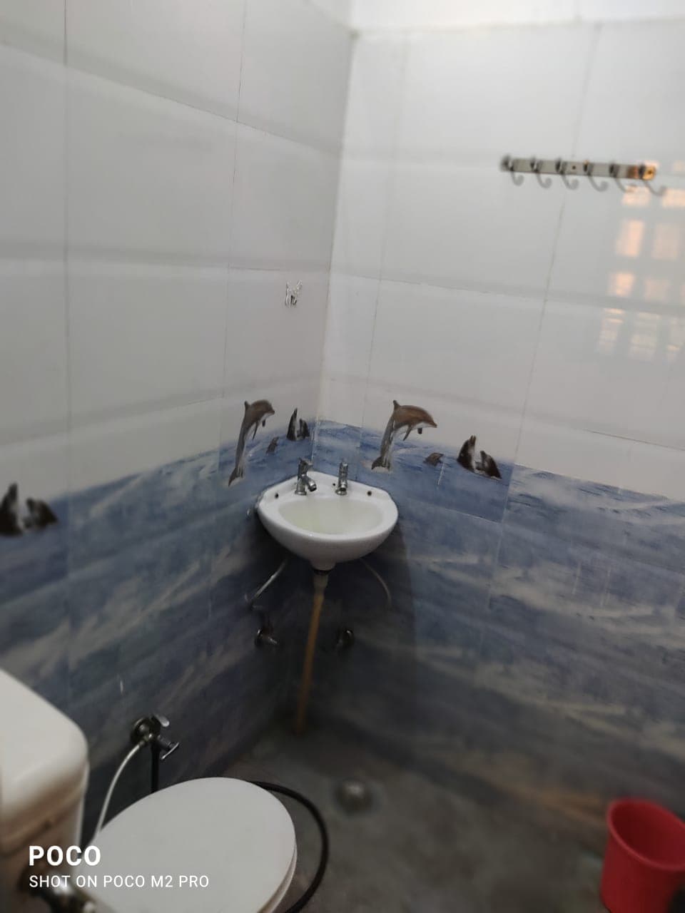 1Bhk  Furnished floor on rent in  Sector 38