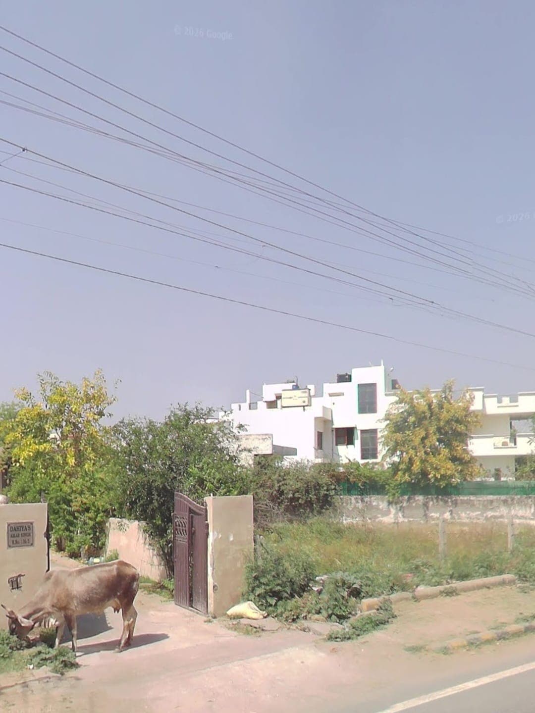 500 sqyd Plot Sector-5 on Sale